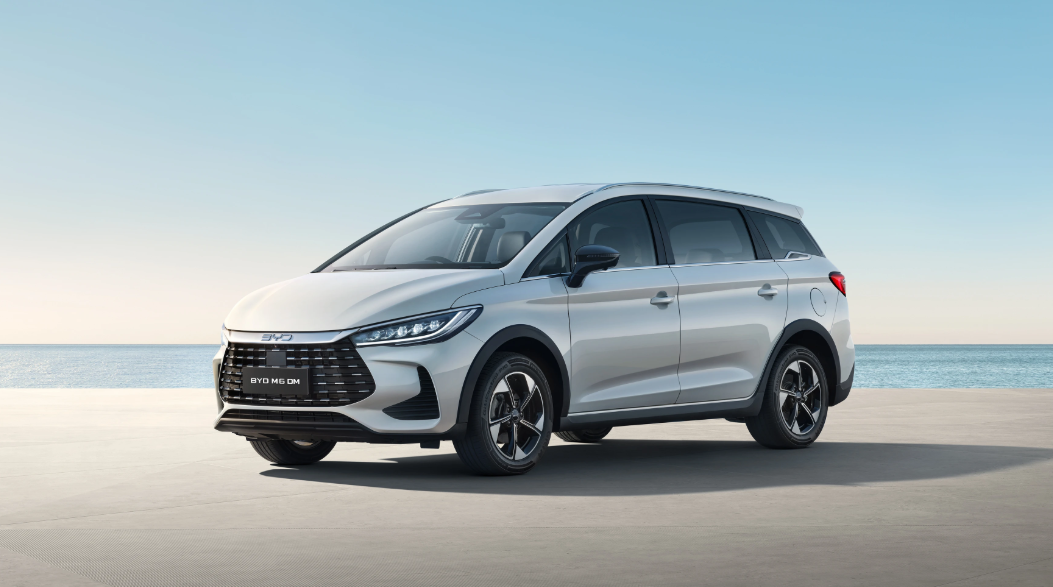 BYD DM Image 1