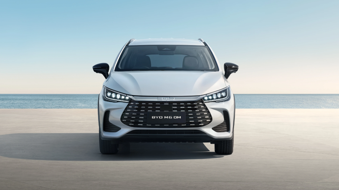 BYD DM Image 2